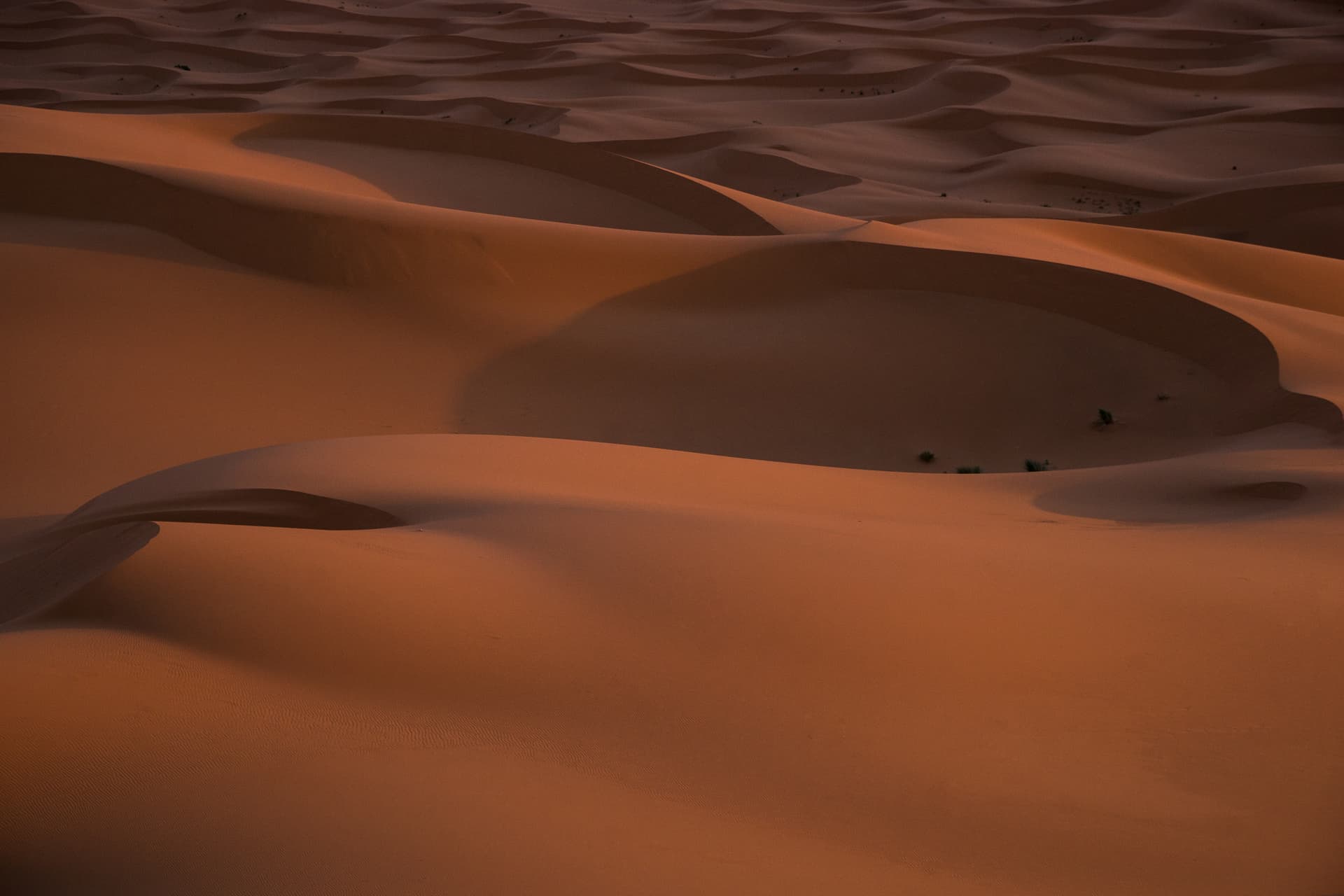 Ein Bild von der Wüste